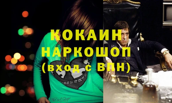 хмурый Арсеньев