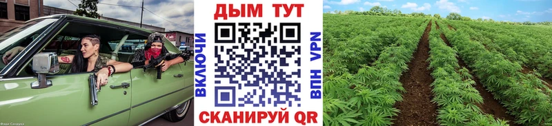 Шишки марихуана OG Kush Салехард